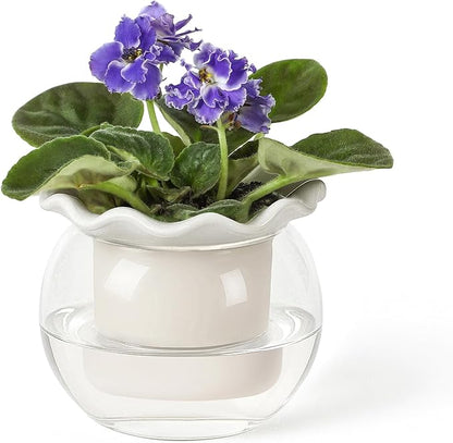 6 Inch African Violet Pots Maintenance, Glass Self-Watering Planter for Indoor Plants - Ideal Flower Pot for Thriving Indoor Gardens, Pots Only (Version 2)