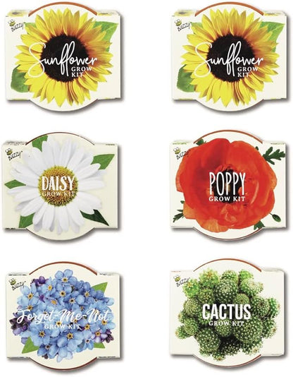 BUZZY Seeds Mini Terracotta Grow Pots Daydream Collection, Assorted 6-Pack Flower and Plant Seed Starter Kit, Indoor Gardening Gift, Holiday Present, Valentine Exchange