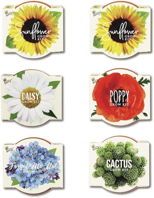 BUZZY Seeds Mini Terracotta Grow Pots Daydream Collection, Assorted 6-Pack Flower and Plant Seed Starter Kit, Indoor Gardening Gift, Holiday Present, Valentine Exchange