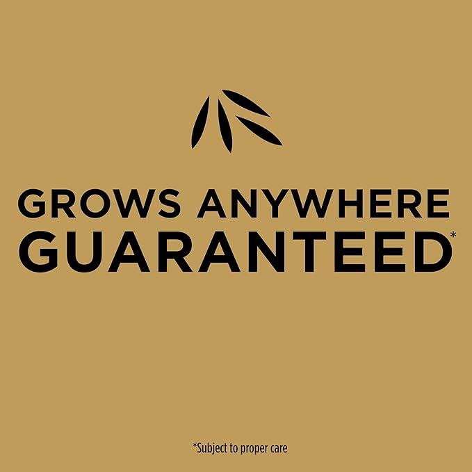 Scotts EZ Seed Patch and Repair for Sun and Shade Combination Mulch, Sun and Shade Grass Seed and Fertilizer for Bare Spots and Repair, Grows Anywhere, 40 lbs.