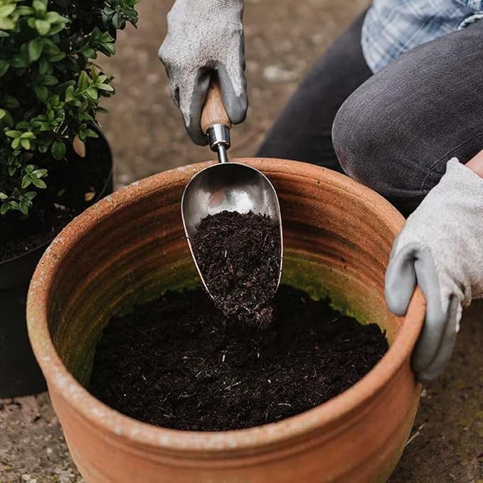 Kent & Stowe Stainless Steel Hand Potting Scoop, Compact Garden Scoop for Compost and Soil, Classic All Year Round Garden Tools Made from Stainless Steel and Ash Wood