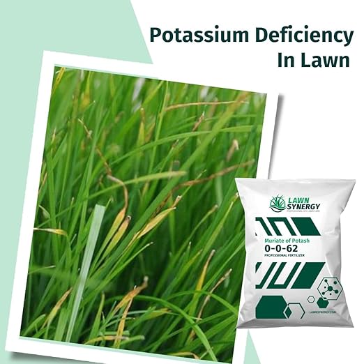 0-0-62 Muriate of Potash Plant & Lawn Fertilizer - Strengthens Cell Walls - 15lbs. - Covers 9,000 sqft