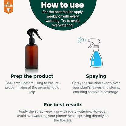 GARDENERA Professional Organic Liquid Kelp Spray for Philodendron Plants - 8 oz - Ready-to-Use Fully Organic Seaweed & Kelp Fertilizer Mist