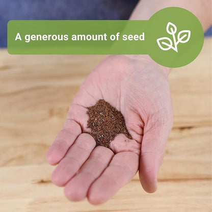 Sow Right Seeds - Bulk Alyssum Seeds for Planting - 2.5 Grams, 6200 Seeds - Non-GMO Heirloom Jumbo Pack with Instructions to Plant a Home Flower Garden - Grow Loads of Beautiful Bed Filling Flowers