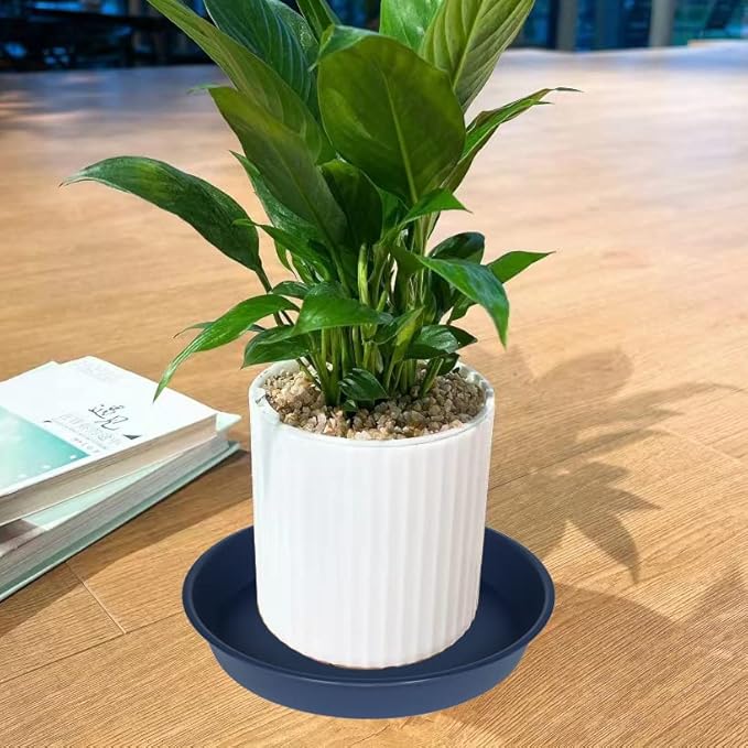 6 Pack of 7 inch Plant Saucer, Heavy Duty Plastic Plant Water Tray 7 inch Round, Flower Plant Saucers for Indoors No Holes, Plant Dishes Saucer for Planter 7"/8" (7", Blue)