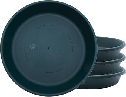 The HC Companies 6 Inch Classic Round Plant Saucer, Lightweight UV-Resistant Plastic Outdoor & Indoor Flower Pot Tray, 4-Pack Plant Pot Trays for Garden & Home Decor, Evergreen