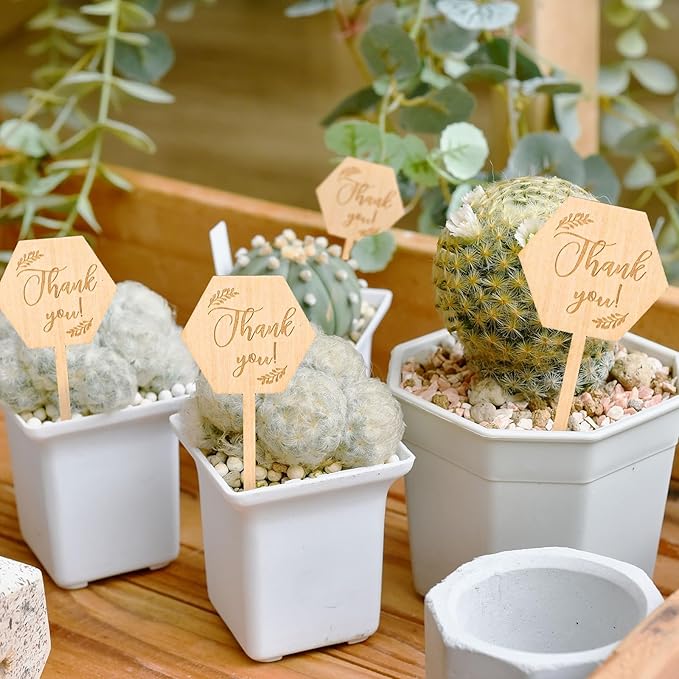 30Pcs Thank You Plant Labels Baby Shower Hexagon Wooden Plant Stakes Gift Succulent Garden Marker Plant Sign for Seed Potted Teacher Appreciation Thanksgiving Supplies