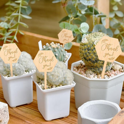 30Pcs Thank You Plant Labels Baby Shower Hexagon Wooden Plant Stakes Gift Succulent Garden Marker Plant Sign for Seed Potted Teacher Appreciation Thanksgiving Supplies