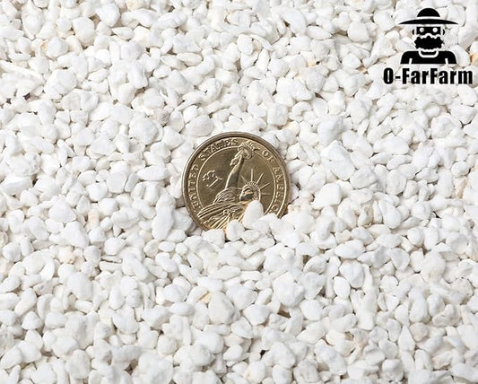 Chunky Perlite Bulk, Horticultural Pearlite Coarse Perlite for Plants Indoor, Additive Conditioner Mix, Improve Drainage and Ventilation, Help Root Growth (4-8mm, 1qt)