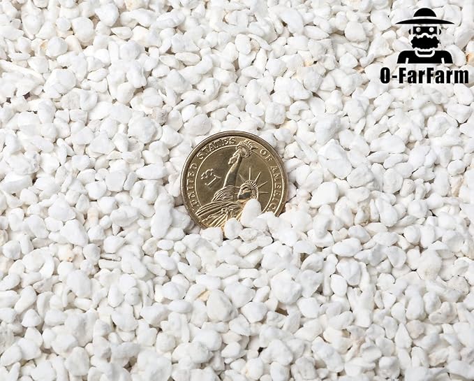 Chunky Perlite Bulk, Horticultural Pearlite Coarse Perlite for Plants Indoor, Additive Conditioner Mix, Improve Drainage and Ventilation, Help Root Growth (4-8mm, 10qt)