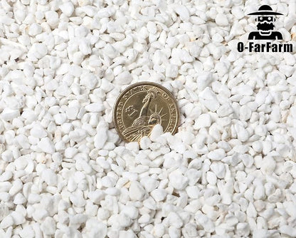 Chunky Perlite Bulk, Horticultural Pearlite Coarse Perlite for Plants Indoor, Additive Conditioner Mix, Improve Drainage and Ventilation, Help Root Growth (4-8mm, 10qt)