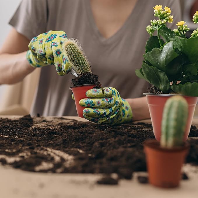 100 Packs 8" Plant Nursery Pots Plastic Seedling Starter pot Flower Planter Container Seed Grow Pot with Drainage Hole for Indoor Outdoor Garden Suitable for Succulent Seedling Cutting Transplanting