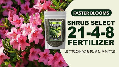 Fertilizer Commercial Grade | Shrub Select 21-4-8 | 1 Pound | Custom Two-Stage Professional Mix Blend | Long-Term Controlled Release Feed | Shrubs & Tropical Ornamentals | 5-6 Month | Micronutrients