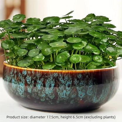 Lotus Bowl Planter, Decorative Ceramic Plant Pots with Moisture-Multifunctional Design, Succulents Orchids Indoor Plants, Thickened Round Planter for Home Desk & Shelf Decor (Green)