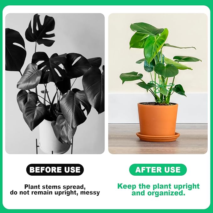 8PCS Climbing Plant Stem Support, 4 Sizes Plastic Houseplant Stem Holders, Reusable Flower Trellis Stem Stakes for Garden, Plant Growth Care Accessories Indoor, Outdoor - Green