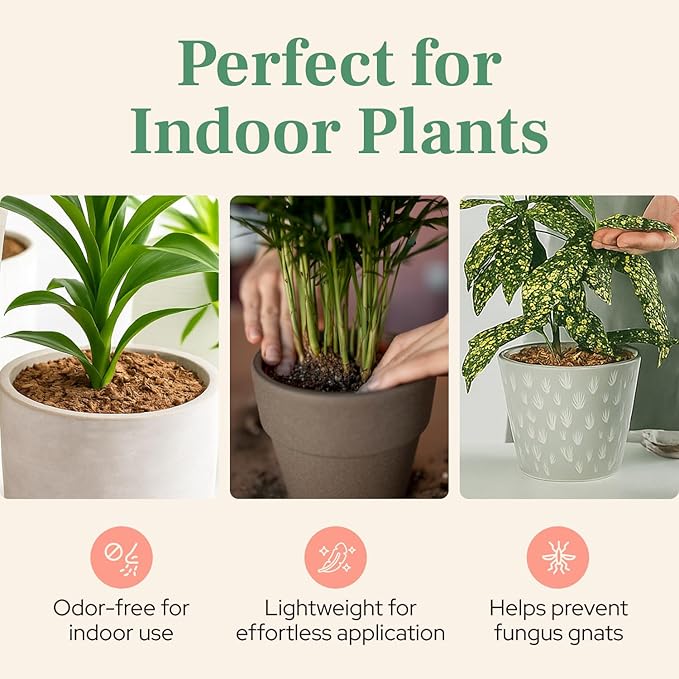 Urban Thumb and Co Ultra Fine Garden Plant Mulch - Top Cover for Indoor / Outdoor Potted House Plants - Compact Size,Potting Mix for Urban Plant Lovers- 3.25 Quarts