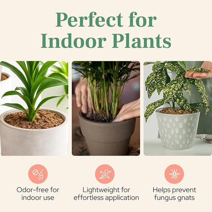 Urban Thumb and Co Ultra Fine Garden Plant Mulch - Top Cover for Indoor / Outdoor Potted House Plants - Compact Size,Potting Mix for Urban Plant Lovers- 3.25 Quarts