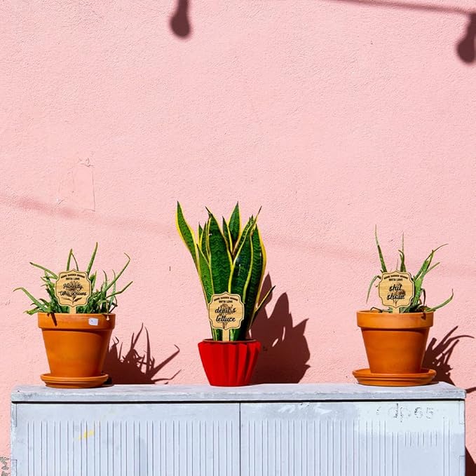 arricraft 15 Pcs Wooden Plant Tags, Waterproof Garden Stake Labels Weeding Plant Marker with Text for Indoor Outdoor Potted Plants Nursery Marker Decoration