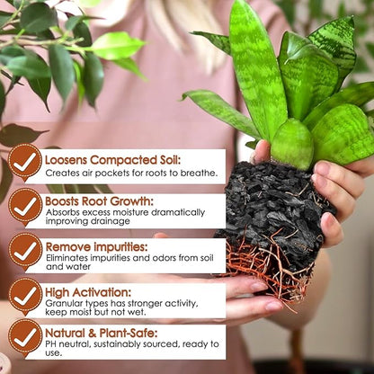 Horticultural Charcoal for Plants,4QT Premium Activated Charcoal for Indoor and Outdoor Plants,Ideal for Soil Amendment, Orchids,Succulent,Cactus, Terrariums & Gardening