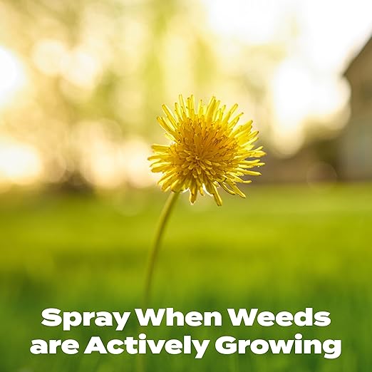 Scotts Liquid Turf Builder with Plus 2 Weed Control, Liquid Weed Killer and Fertilizer, 32 fl. oz.
