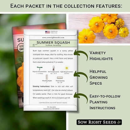 Sow Right Seeds - Summer Squash Seed Collection for Planting - Individual Packets Straightneck, Yellow Scallop and Round Zucchini Squash, Non-GMO Heirloom Seeds to Plant Outdoor Home Vegetable Garden