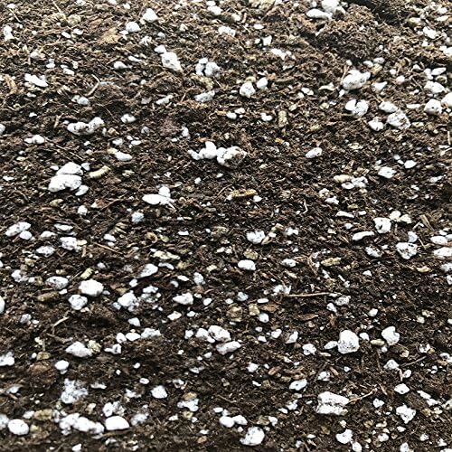 rePotme African Violet Imperial Potting Soil Mix - Junior Bag