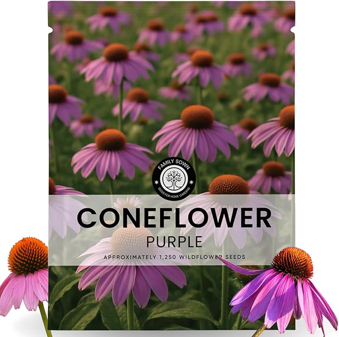 Purple Coneflower – 1,250 Seeds for Planting – 2026 Season – 5 Gram Pouch