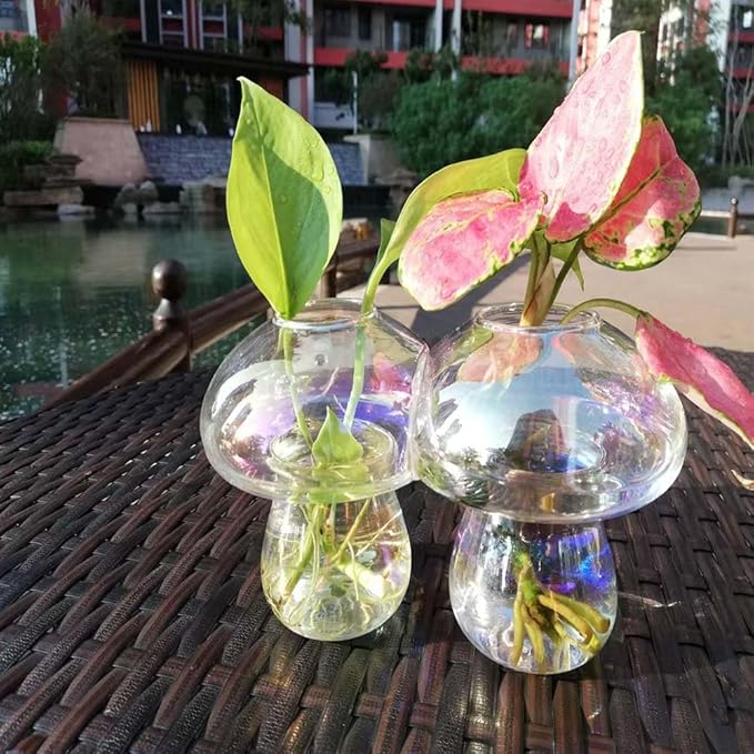 Wall Hanging Mushroom Vase, Small Plant Propagation Stations Fall Bud Vase Cute Mushroom Glass Planter Terrarium Indoor Hydroponic Flower Holder for Elegant Home Decor Gifts, Colorful, 1 PC