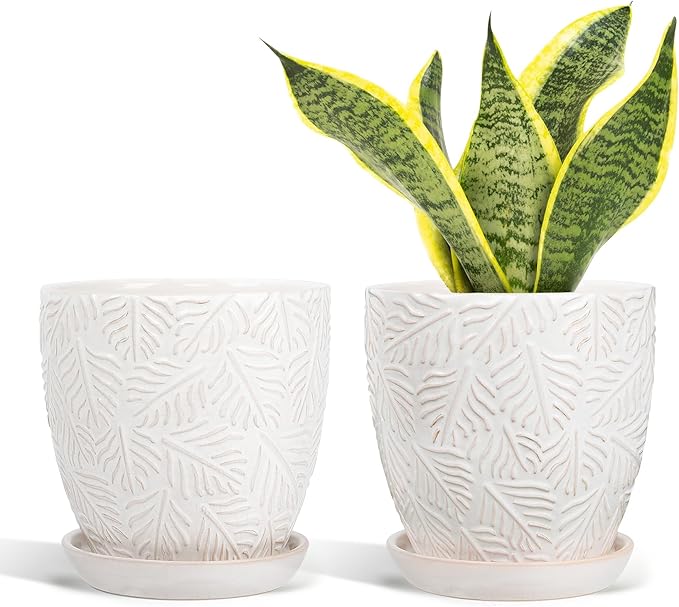 6 Inch Ceramic Plant Pots, Indoor Plant Pots with Drainage Hole & Saucer, Flower Pots, Unique Crackle Glaze Design, White Glaze - Set of 2