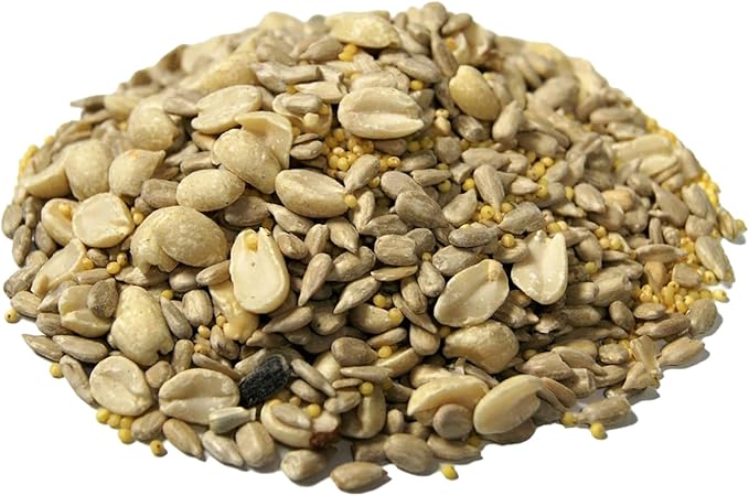CountryMax Backyard Seeds Wild Bird Seed Blend 5lbs - Premium No-Waste Mix with Sunflower Chips, Shelled Peanuts & Hulled Millet, Small Bag of Wild Bird Food