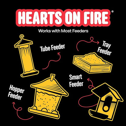 Hearts on Fire Hot Bird Seed – 10 lb. 100% Hulled Sunflower Hearts with Chili Pepper Oil – No Waste Bird Seed for Outside Feeders