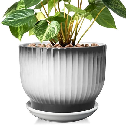 8 Inch Plant Pot, Ceramic Planter with Drainage and Saucer, Ceramic Pots for Plants, Indoor Plant pots,Ceramic Flower pots(Black + White, Plants NOT Included)