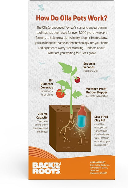 Back to the Roots Self-Watering Terracotta Olla Pot, 700mL Provides 1 Week of Precision Watering