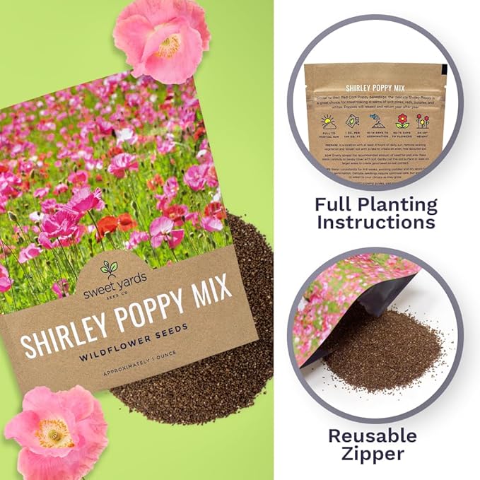 Shirley Poppy Seeds – Mixed Colors – Extra Large Packet – Over 200,000 Open Pollinated Non-GMO Wildflower Seeds – Papaver rhoeas