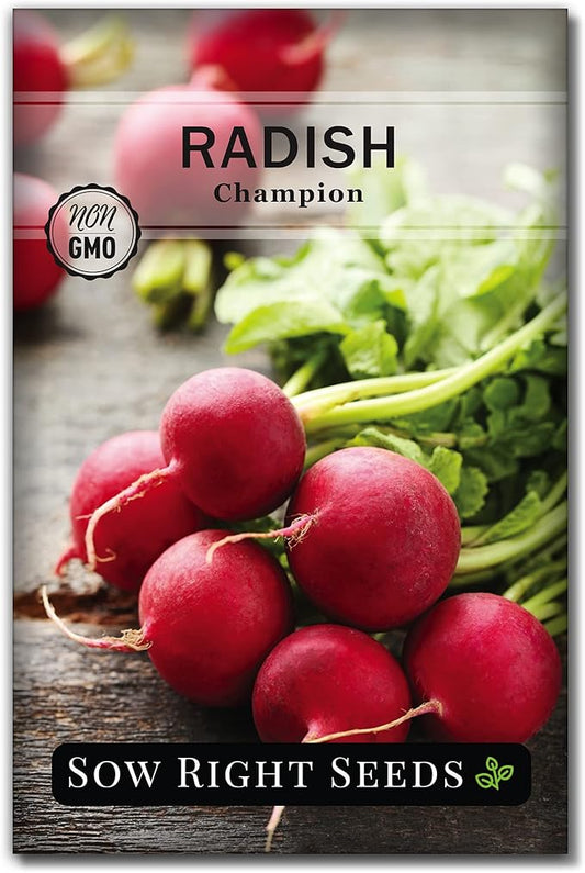 Sow Right Seeds - Champion Radish Seed for Planting - Non-GMO Heirloom Packet with Instructions to Plant a Home Vegetable Garden - Grow This Classic Red Variety - Spicy Cherry Type, Fast Growing (1)