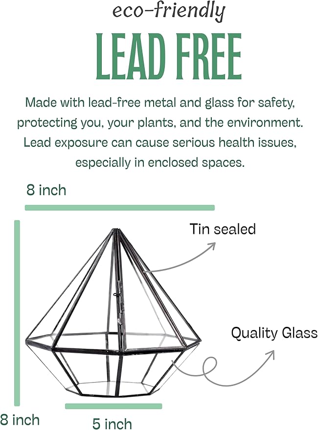 KraftStories Clear Glass Terrarium with Door | Diamond Design Container | Ideal Planter for Moss and Indoor Plants | Maintains Humidity | Self-Sustaining Indoor Garden Ecosystem (Terrarium Only)
