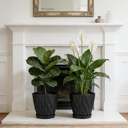 8 Inch Plant Pots, 2 Pack Plastic Planters for Indoor Outdoor with Drainage Holes & Saucers, Waffle Texture Flower Pots for Indoor Plants, Indoor Plant Pots for Monstera, Fiddle Leaf Fig, Black