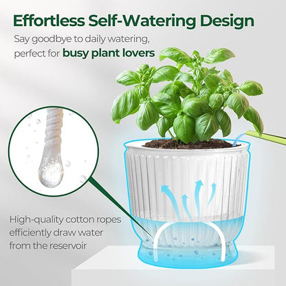 T4U 6 Inch Self Watering Pots for Indoor Plants, 4 Pack Self Watering Planter, Self Watering Pot with Reservoir, Clear Self Watering Pots for Indoor Plants, African Violets (4 Pack, 6", Clear)