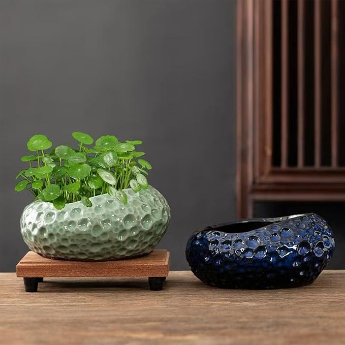 Lotus Bowl Planter, Decorative Ceramic Plant Pots with Moisture-Multifunctional Design, Succulents Orchids Indoor Plants, Thickened Round Planter for Home Desk & Shelf Decor (Blue Planet)