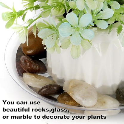 15 Pack Assorted Sizes 6 8 10 Inch Clear Thick Plastic Heavy Duty Sturdy Plant Saucer Drip Trays for pots, 5 Pieces of Each Size (Assorted Sizes 6'', 8'', 10'')