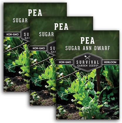 Sugar Ann Dwarf Pea Seeds for Planting - Compact Sugar Snap Peas for Containers and Small Gardens, High Yield Heirloom Open Pollinated Non-GMO - Survival Garden Seeds (3 Pack)