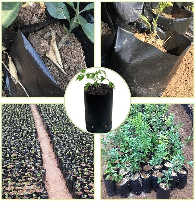 DredQcco 100PACK Plant Grow Bags,Thicken PE Seedling Bag Fruit Tree Seedling Cup Bonsai Planting Bag with Breathable Holes for Garden Black Planting Bags Nursery Bags (4.7'' Dia x 8'' H)