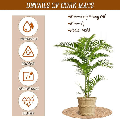 6 Pack 16 Inch Large Woven Plant Coasters for Floor, Natural Seagrass Plant Mats for Indoor House Plants, Thick Round Flower Pot Pads for Carpet & Hardwood Protection, Boho Farmhouse Decor