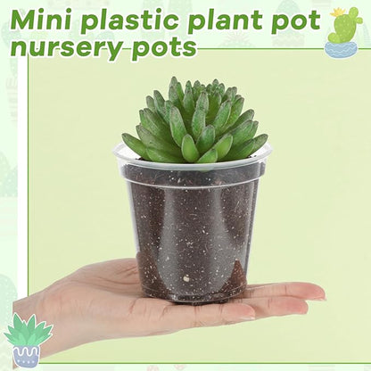 Yaomiao 30 Pcs 4 Inch Clear Mini Plastic Plant Pot Nursery Seedling Pots Seed Starter with Drainage Holes for Indoor Outdoor Garden Succulent Plants Cuttings Transplanting