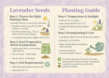 20000+ Lavender Seeds Bulk- Non GMO Premium English Lavender Seeds for Planting Outdoors or Intdoors, 2026 Wildflower Seed Grow Fragrant Gardens, DIY Essential Oils, Perfect for Home Gardeners, Gifts