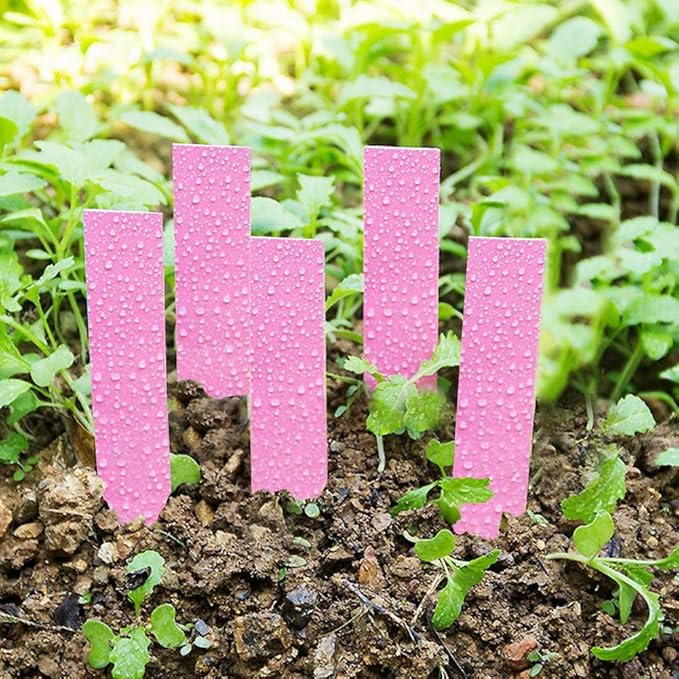 100 Pcs Plant Labels Tags, Plastic Plant Seed Waterproof Labels Pot Marker Nursery Garden Stake Tags (Pink)