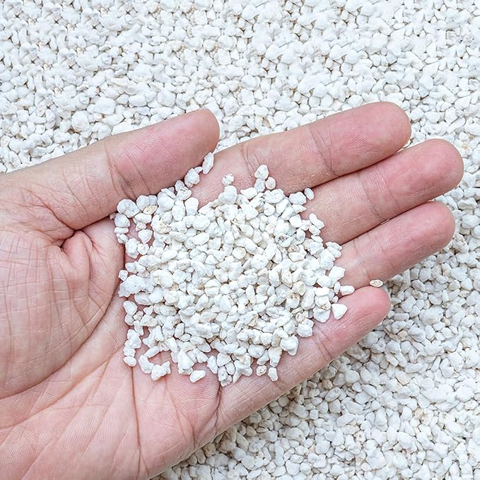 Organic Perlite for Plants, Horticultural Perlite Bulk, Soil Amendment for Enhanced Drainage and Plant Root Growth, Ideal for Potting Mixes (2 Quart)