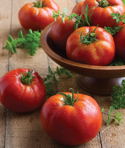 Burpee 'Big Daddy' Hybrid , Red Slicing Tomato , 35 Non-GMO Seeds