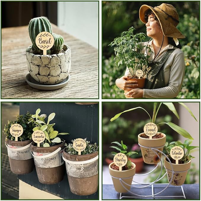 arricraft 15 Pcs Herb Plant Labels, Wooden Markers Round Shape Tags Garden Labels with Printed Leaf Decoration Wood Garden Stakes for Indoor and Outdoor Potted Seed Herbs and Herb Unique Funny Gifts