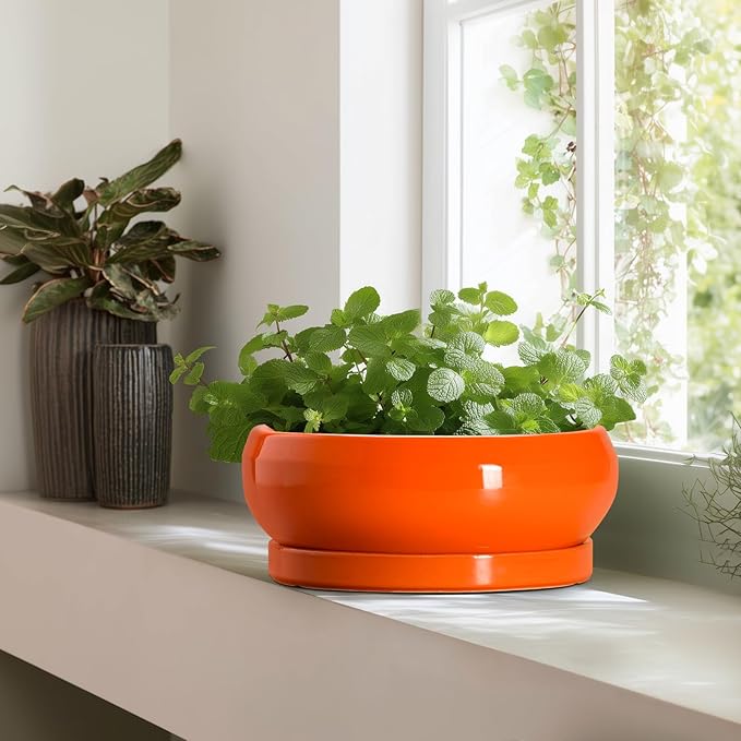 Bonsai Pots - 13 Inch Ceramic Succulent Pots with Drainage Hole and Saucer, Shallow Planter for Indoor Outdoor, Bonsai Planters, Large Planter Bowl, Porch Decor, Gift for Plant Lover, Orange